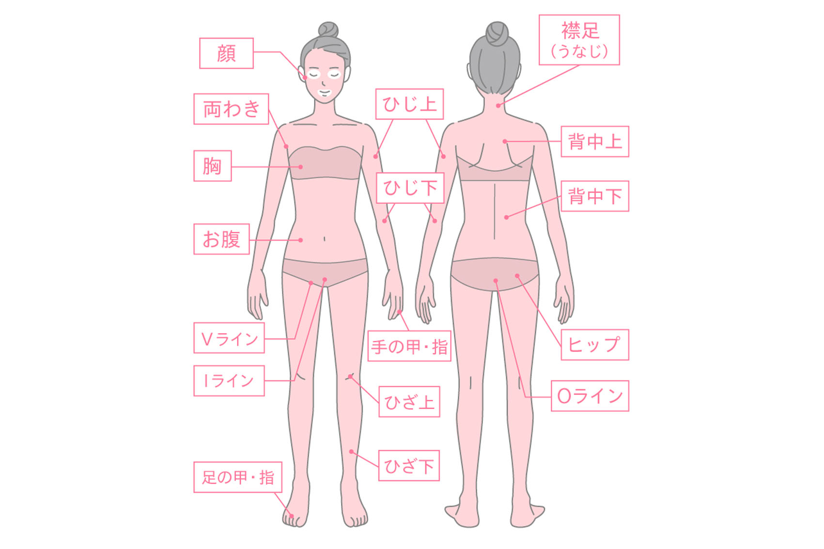 エミシアクリニックの全身脱毛の範囲画像です。
